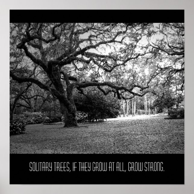 Solidaritet Träd Poster (Framsidan)