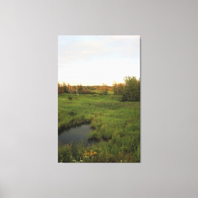 Solig äng canvastryck (Framsida)