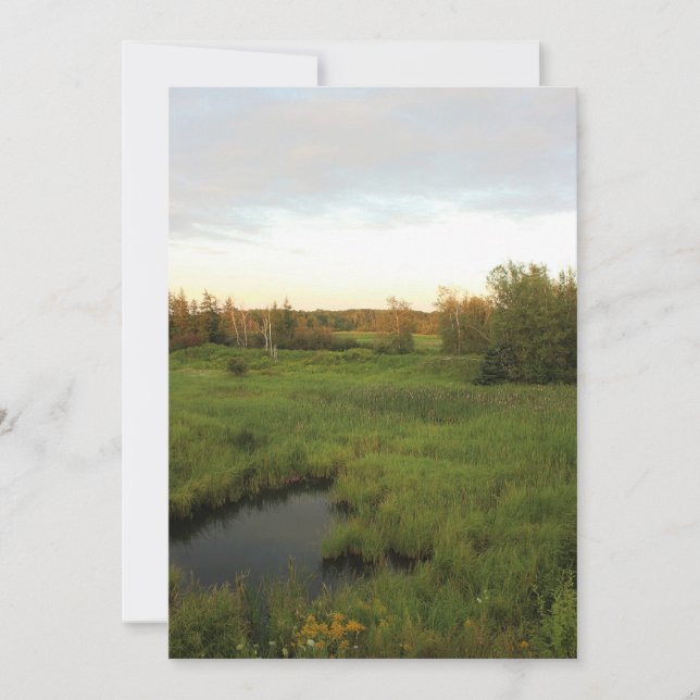 Solig äng inbjudningar (Framsida)