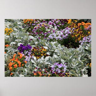 Solig blomsterträdgård poster