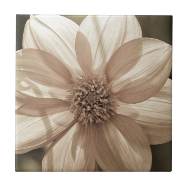 Solig Dahlia Kakelplatta (Framsidan)