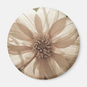 Solig Dahlia Magnet
