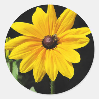Solig gul blomma runt klistermärke