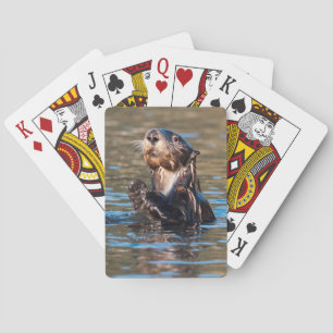 Solig havsutter casinokort