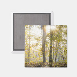 Solig höstpark, foto magnet