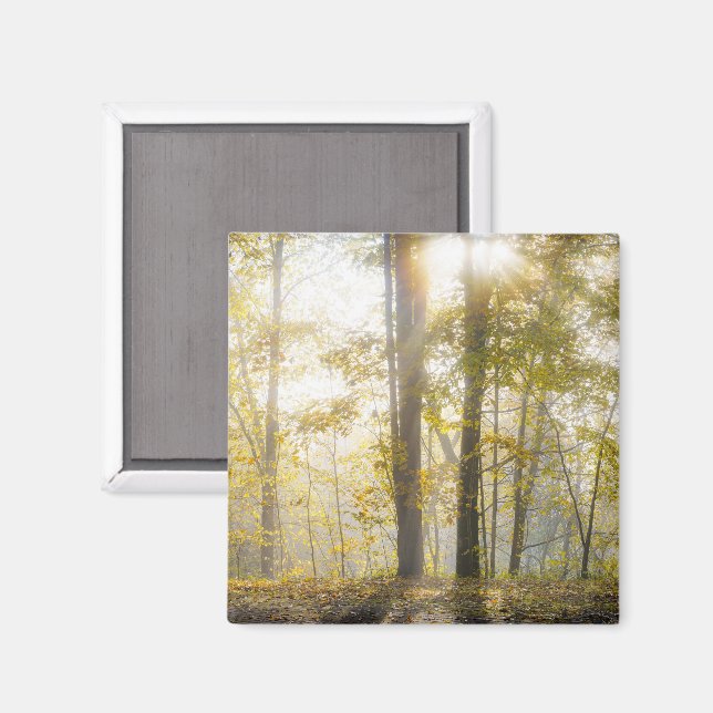 Solig höstpark, foto magnet (Front/Back)