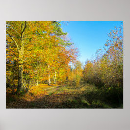 Solig höstskog - Personlig Poster