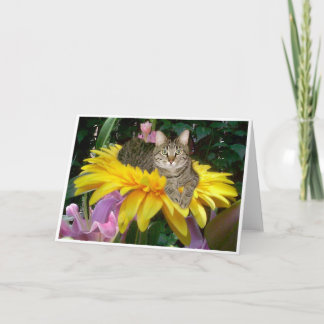 Solig sida av gatan kort