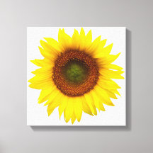 Solig slågen in kanfasdekor för dag solros