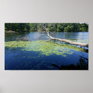 solig sommar poster
