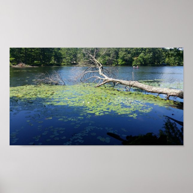 solig sommar poster (Framsidan)