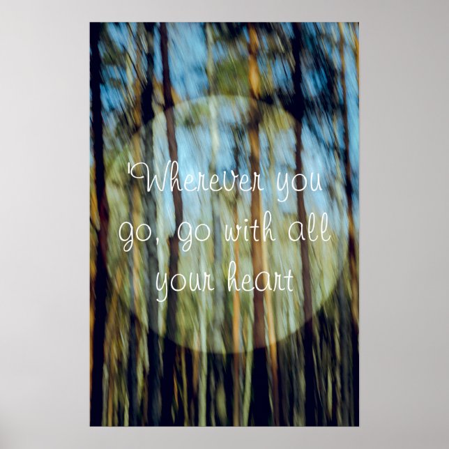 Solig tallskog poster (Framsidan)