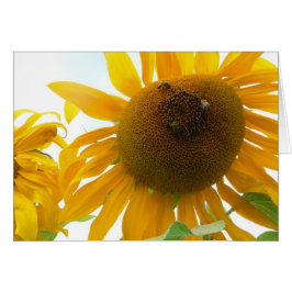 Soliga bin hälsningskort