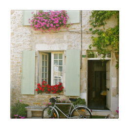 Soliga frankriken kakelplatta