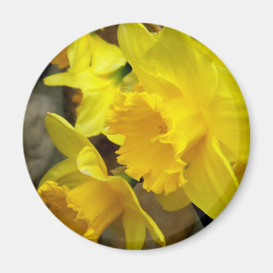 Soliga Petals Magnet
