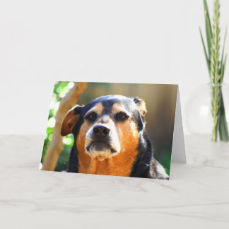 Soligt Grym-ansikte hälsningkort Kort