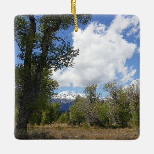 Soligt vy av Grand Teton Mountain Julgransprydnad Keramik (Framsida)