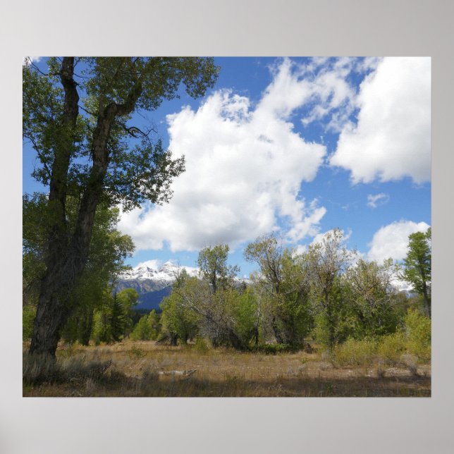 Soligt vy av Grand Teton Mountain Poster (Framsidan)