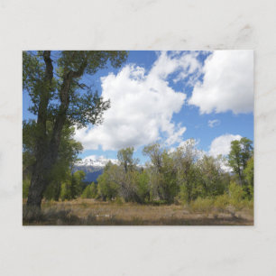 Soligt vy av Grand Teton Mountain Vykort