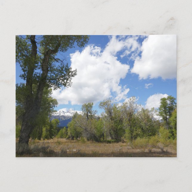 Soligt vy av Grand Teton Mountain Vykort (Framsida)