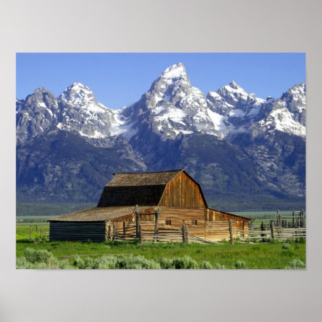 Solitary Barn at Grand Tetons Poster (Framsidan)