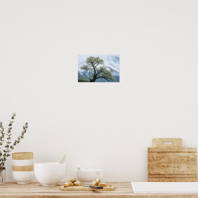 Solitary Blossoming Tree and Snowy Mountains Poster (Kök)