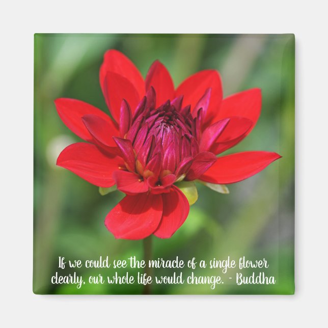 Solitary Red Dahlia Flower Wisley Motivational Magnet (Framsidan)
