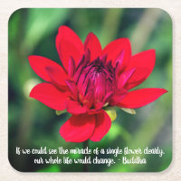 Solitary Red Dahlia Flower Wisley Motivational