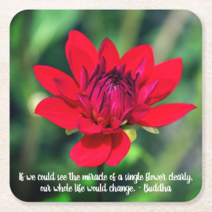 Solitary Red Dahlia Flower Wisley Motivational Underlägg Papper Kvadrat