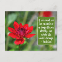Solitary Red Dahlia Flower Wisley Motivational