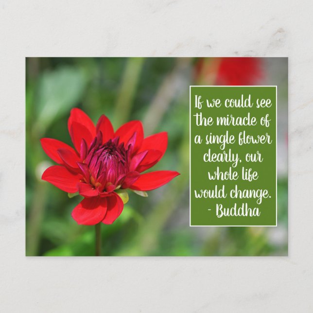 Solitary Red Dahlia Flower Wisley Motivational Vykort (Framsida)
