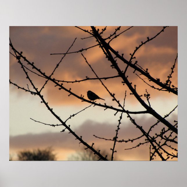 Solitary Silhouette Poster (Framsidan)