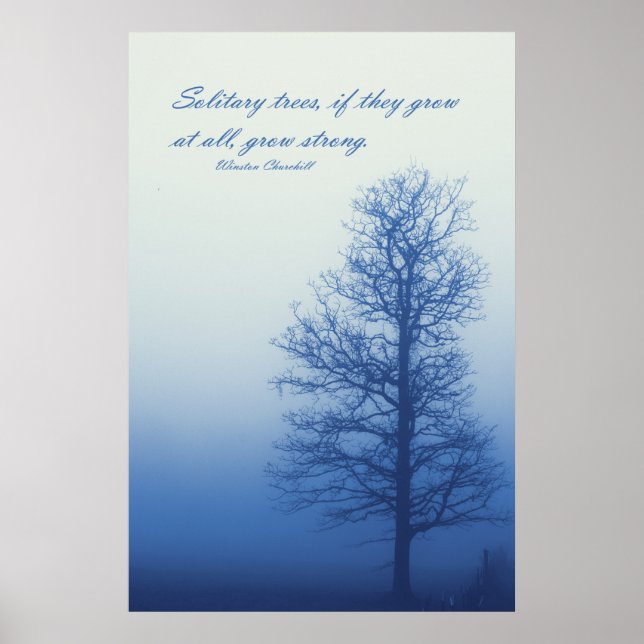 Solitary Träd Grow Strong - Silhouette in Fog Poster (Framsidan)