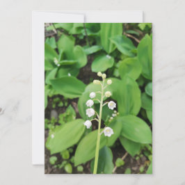 Solitory Lily of the Valley Flower Blank Card