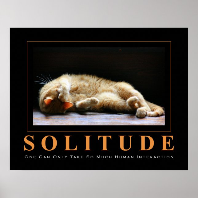 SOLITUDE Cat Photography Anti-Motivational Poster (Framsidan)