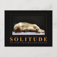 SOLITUDE Cat Photography Anti-Motivational