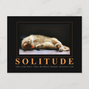SOLITUDE Cat Photography Anti-Motivational Vykort