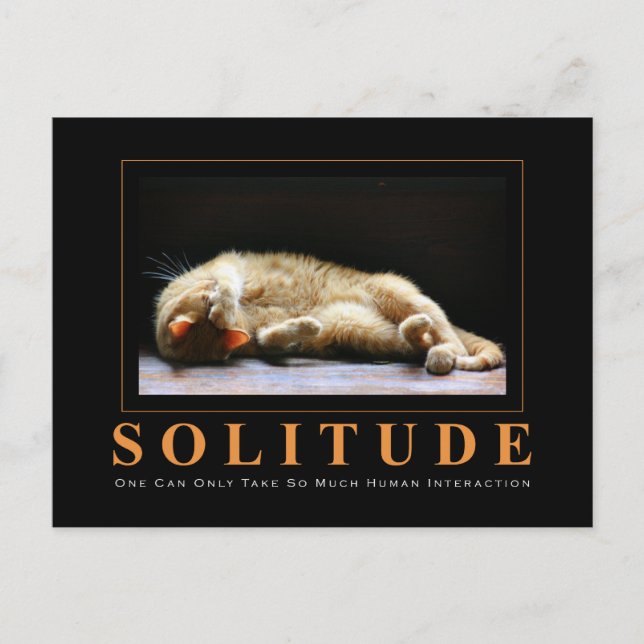 SOLITUDE Cat Photography Anti-Motivational Vykort (Framsida)