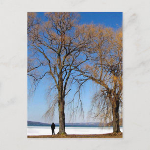 Solitude - Cayuga Sjö Vykort