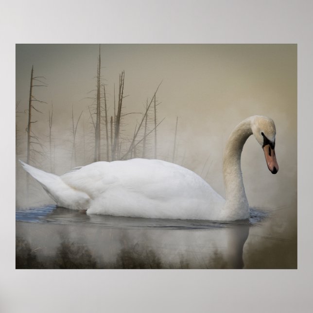 Solitude Poster (Framsidan)