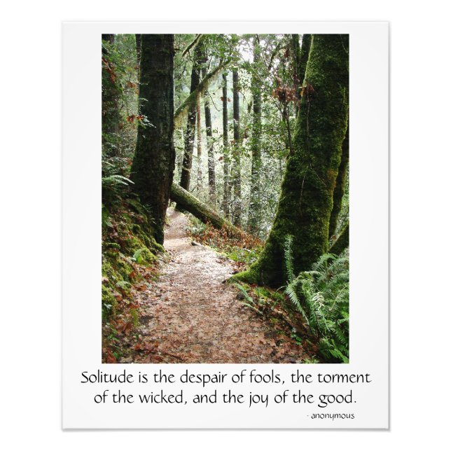 Solitude Quote Träd Redwood Hiking Trail Poster (Framsidan)