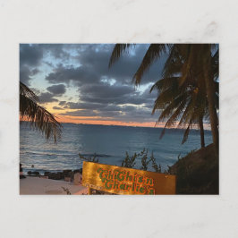 Solkort på Chichis n Charlie's Vykort