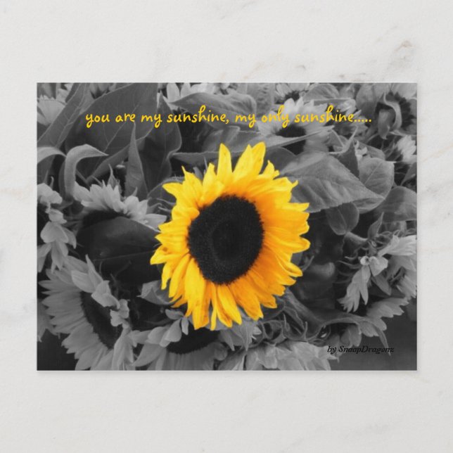 Solkort Vykort (Framsida)