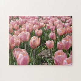 Solkyssta rosa tulpaner pussel