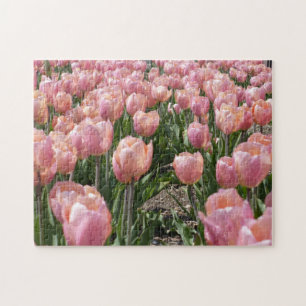 Solkyssta rosa tulpaner pussel