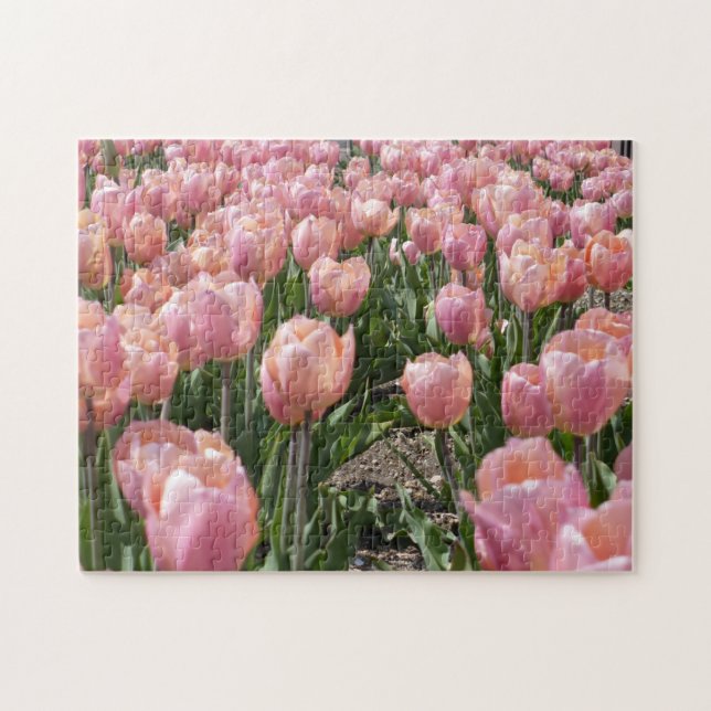 Solkyssta rosa tulpaner pussel (Horisontell)