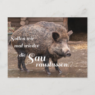 Sollen wir mal wieder die Sau rauslassen?! Vykort