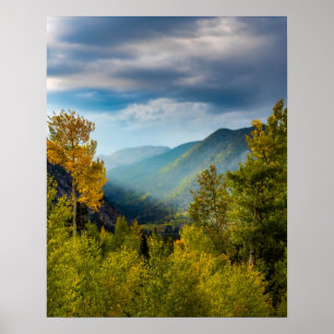 Sollight Valley / / Färg Forest Poster