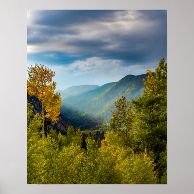 Sollight Valley / / Färg Forest Poster (Framsidan)