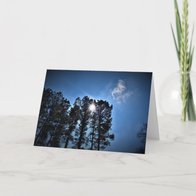 Solljus genom Gräs Träd, kort (Framsida)